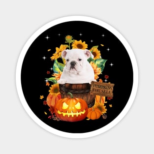 White English Bulldog Halloween Pumpkin Fall Bucket Magnet